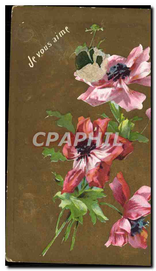 CPA Fantaisie Fleurs 