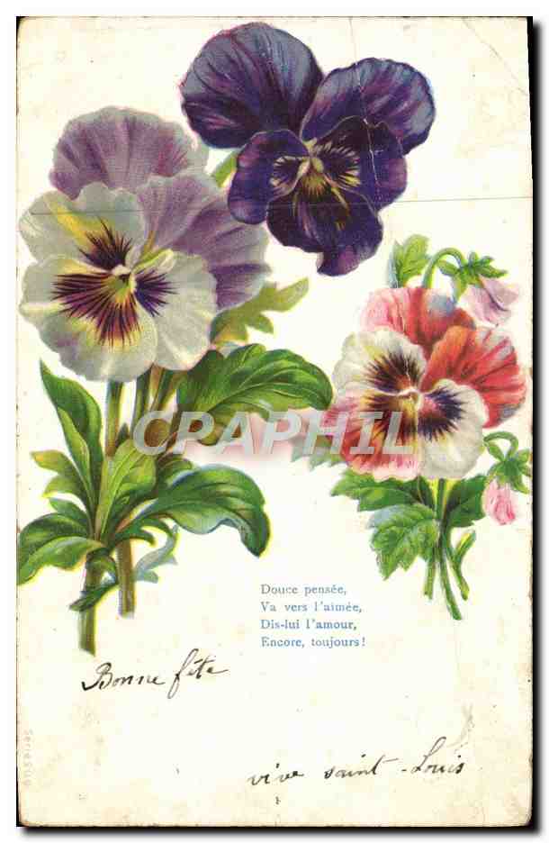 CPA Fantaisie Fleurs 