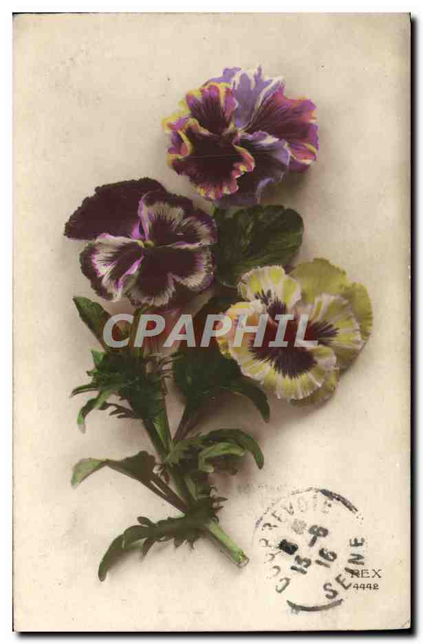 CPA Fantaisie Fleurs 