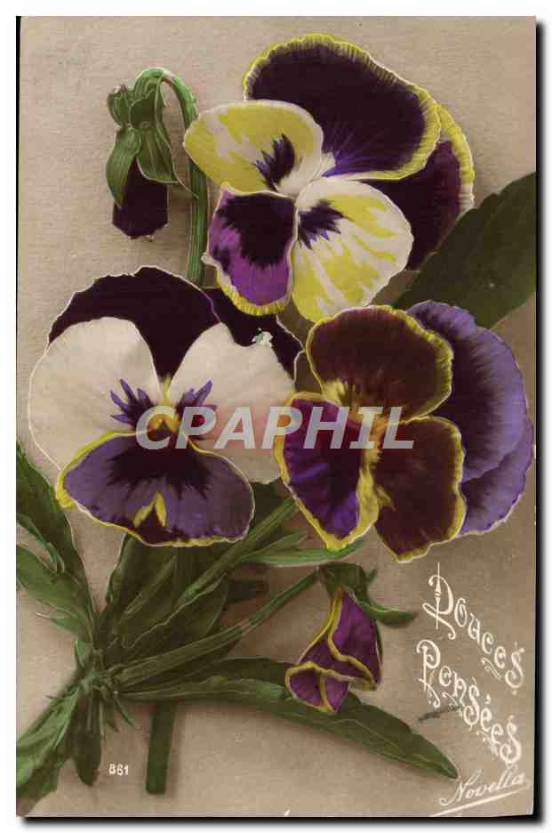 CPA Fantaisie Fleurs 