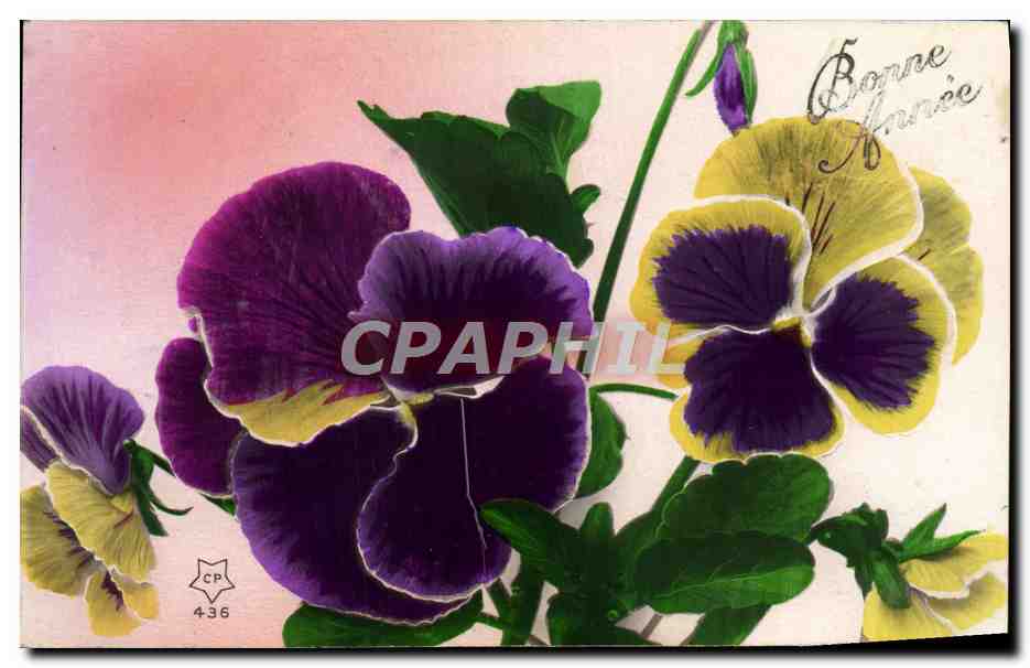 CPA Fantaisie Fleurs 