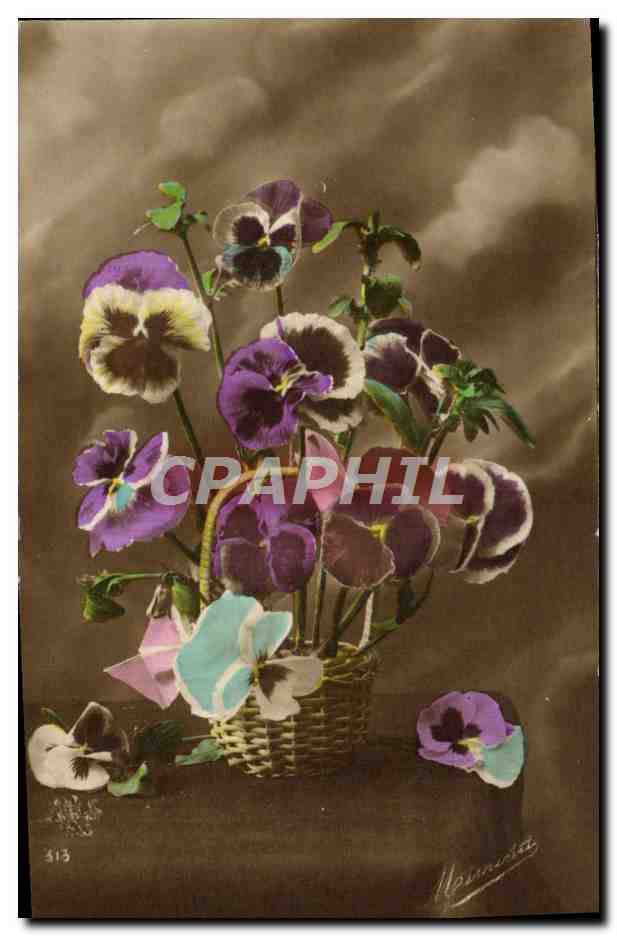 CPA Fantaisie Fleurs 