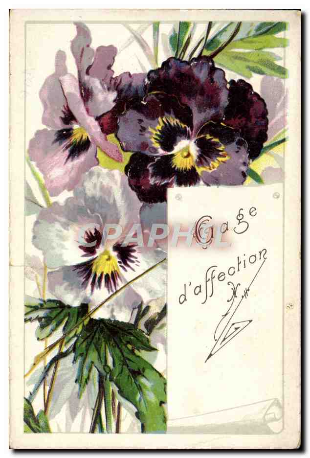 CPA Fantaisie Fleurs 