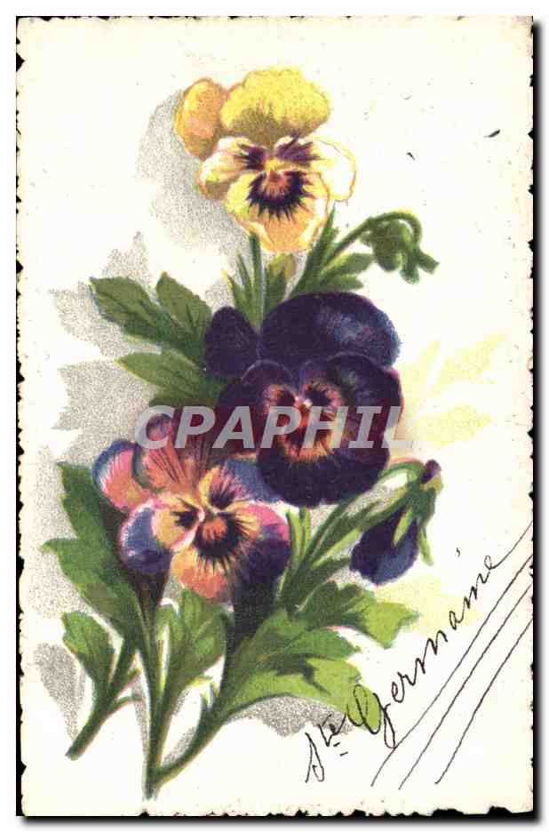 CPA Fantaisie Fleurs 