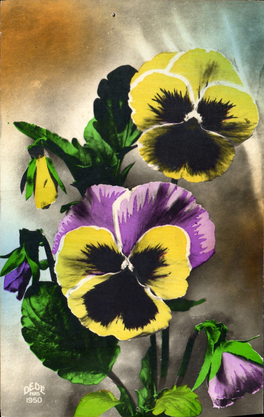 CPA Fantaisie Fleurs 