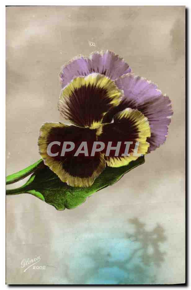 CPA Fantaisie Fleurs 
