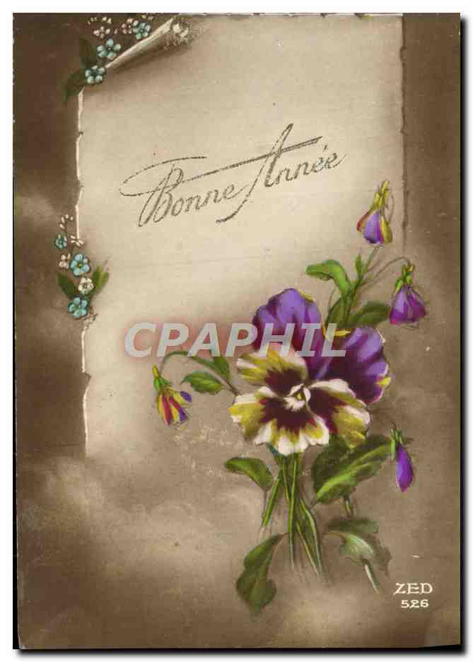 CPA Fantaisie Fleurs 