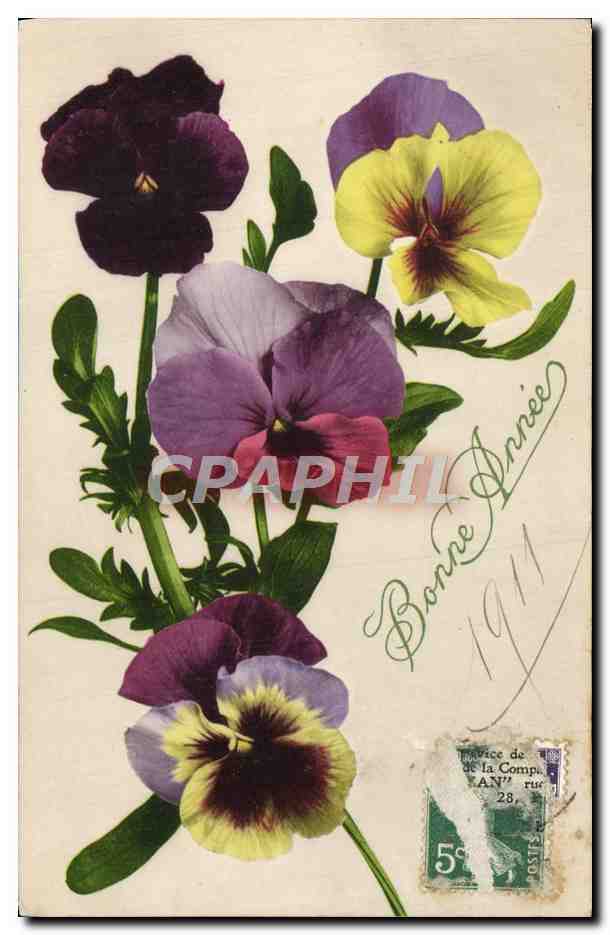 CPA Fantaisie Fleurs 