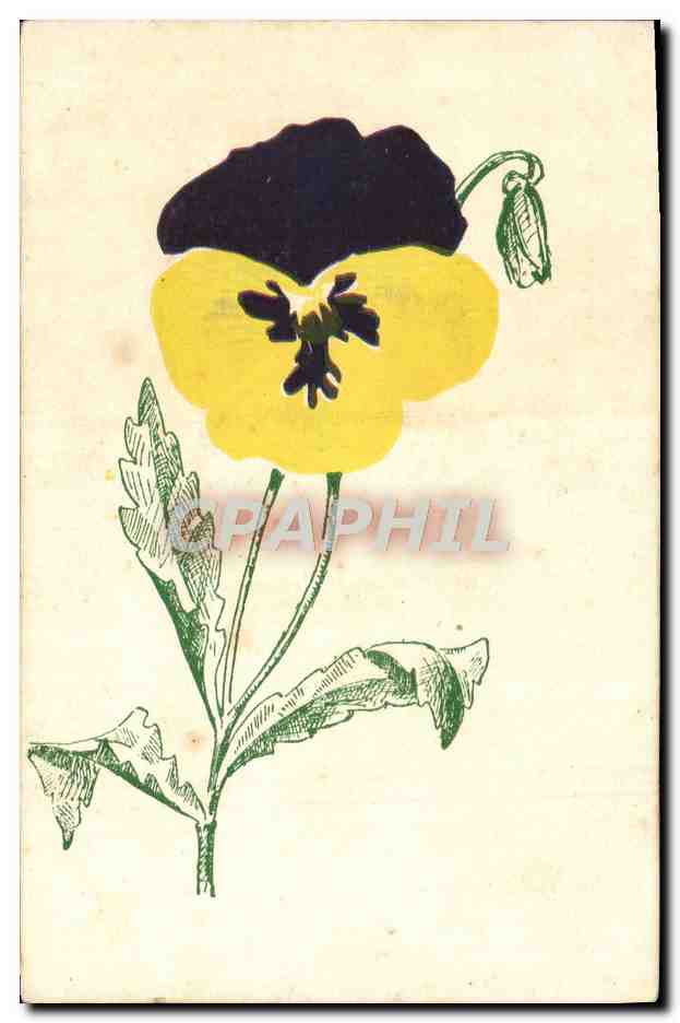 CPA Fantaisie Fleurs 