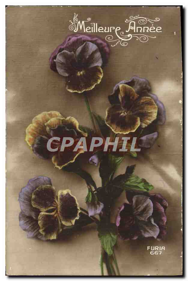 CPA Fantaisie Fleurs 
