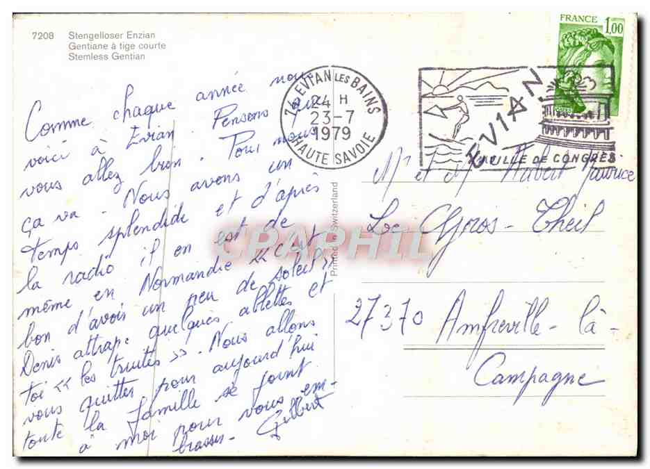 CPM Fantaisie Fleurs Gentiane a tige courte — Verso