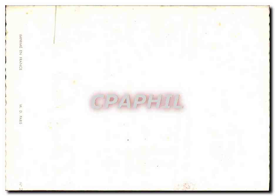 CPA Fantaisie Fleurs  — Verso