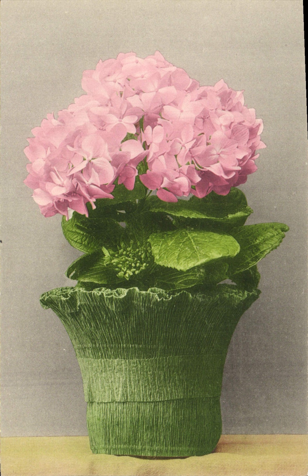 CPA Fantaisie Fleurs 