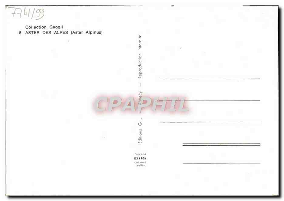 CPM Fantaisie Fleurs Aster des Alpes Aster alpinus — Verso