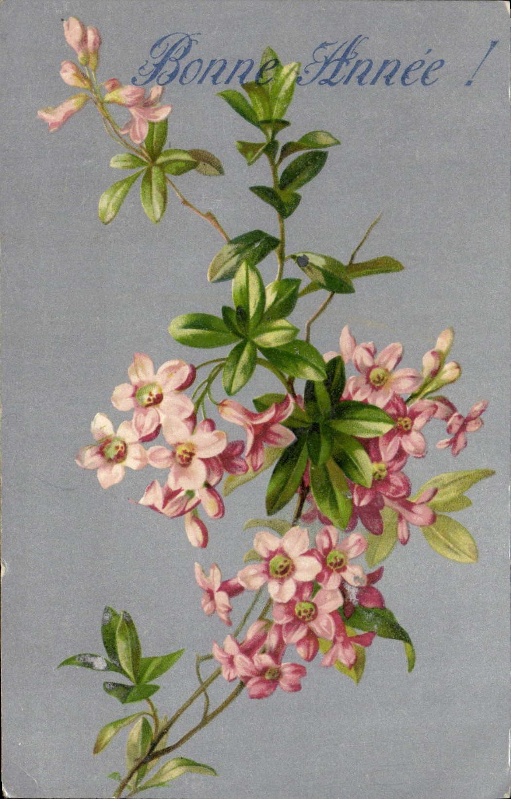 CPA Fantaisie Fleurs 