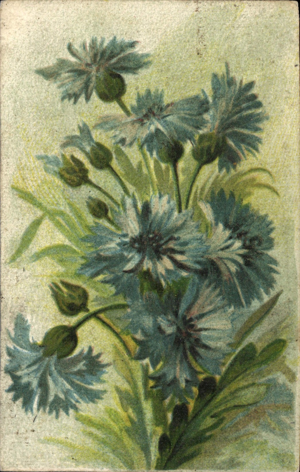 CPA Fantaisie Fleurs 