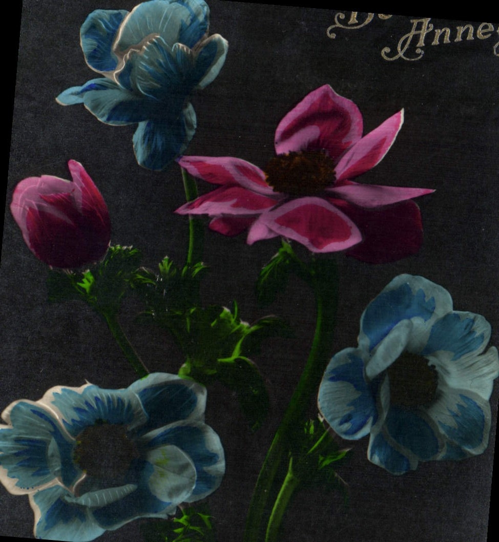 CPA Fantaisie Fleurs 