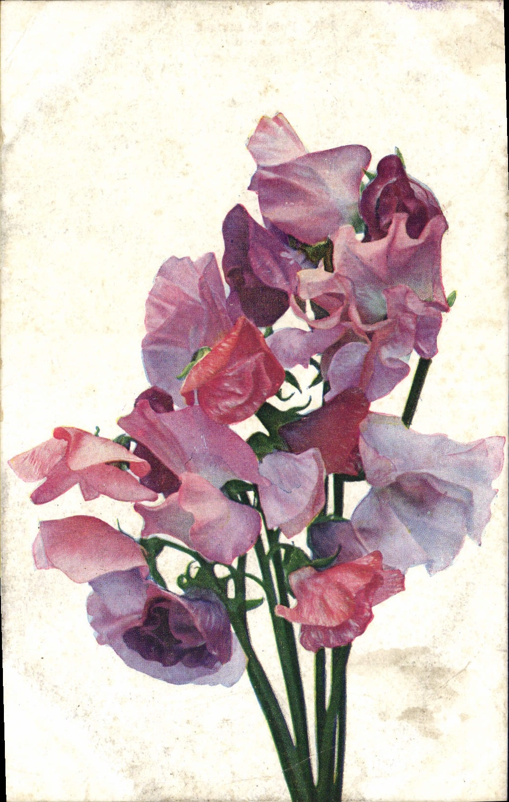 CPA Fantaisie Fleurs 