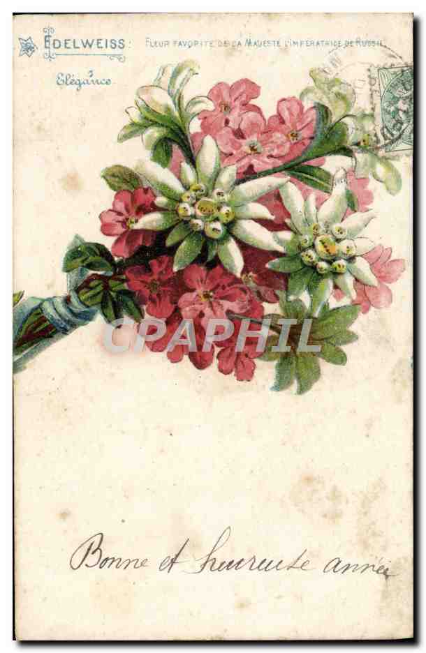 CPA Fantaisie Fleurs Edelweiss