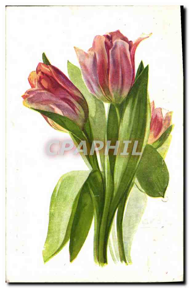 CPA Fantaisie Fleurs 