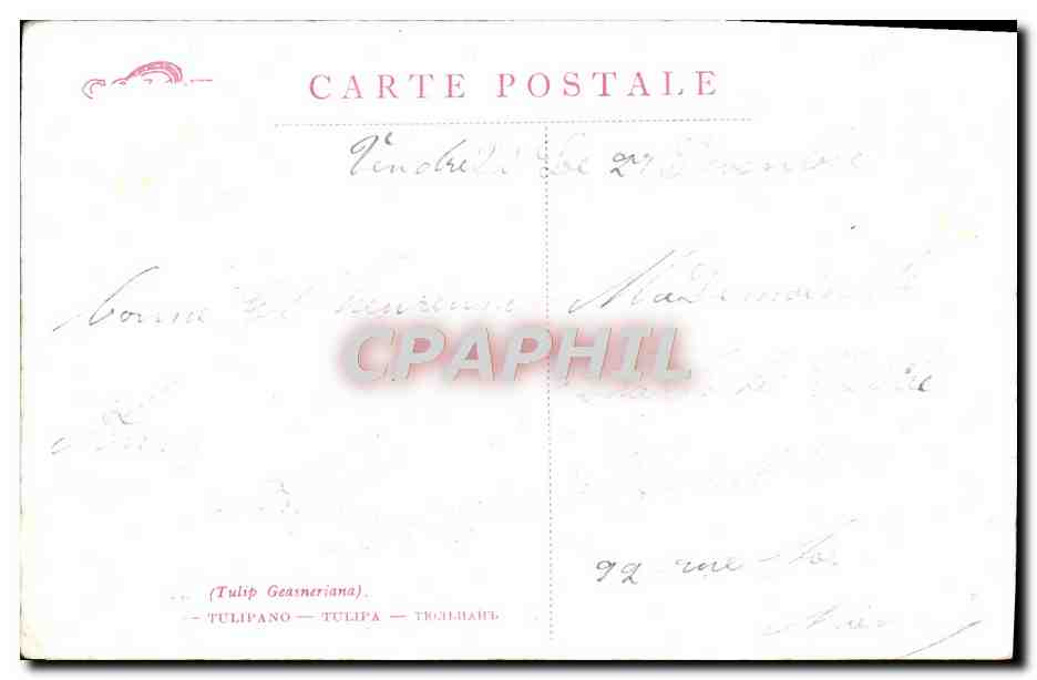 CPA Fantaisie Fleurs  — Verso