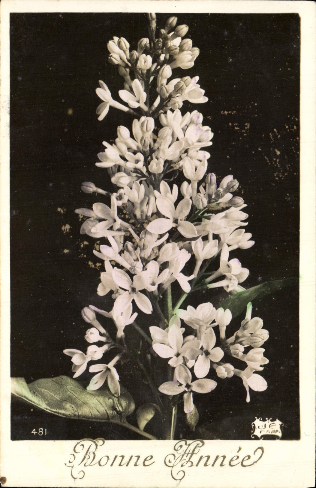 CPA Fantaisie Fleurs 