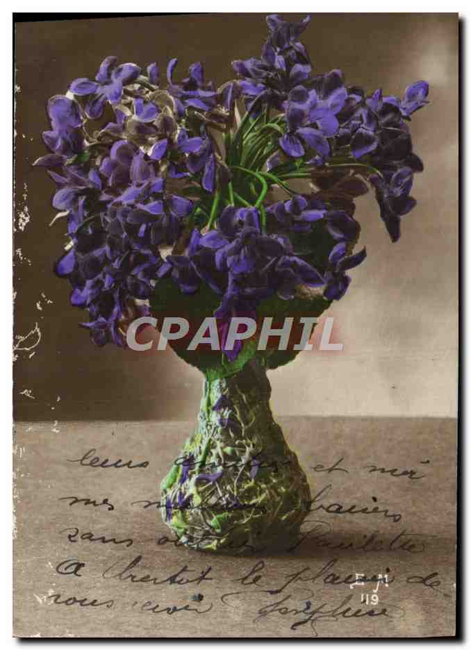 CPA Fantaisie Fleurs 
