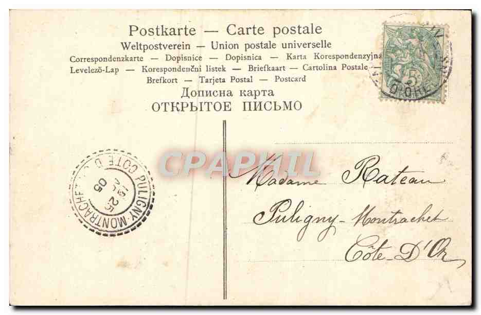 CPA Fantaisie Fleurs Marguerites — Back