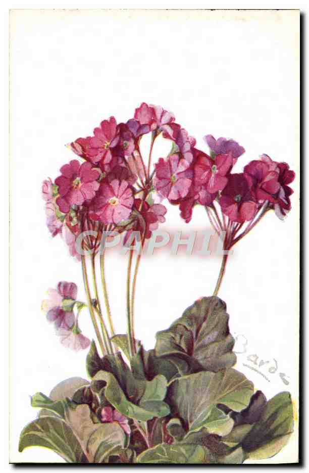 CPA Fantaisie Fleurs 