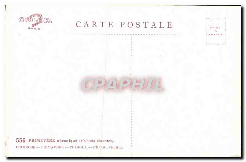 CPA Fantaisie Fleurs  — Rückseite