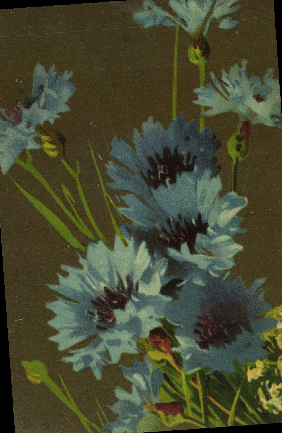CPA Fantaisie Fleurs 
