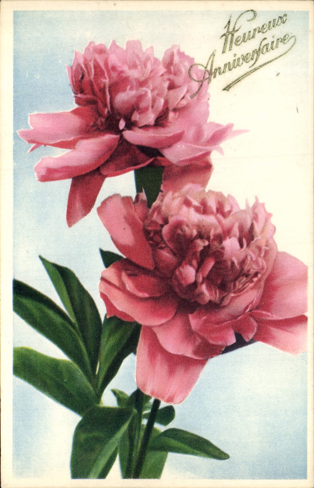 CPA Fantaisie Fleurs 