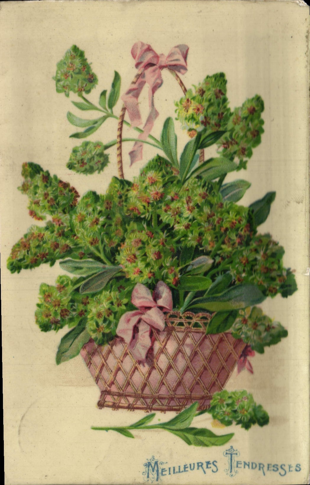 CPA Fantaisie Fleurs 