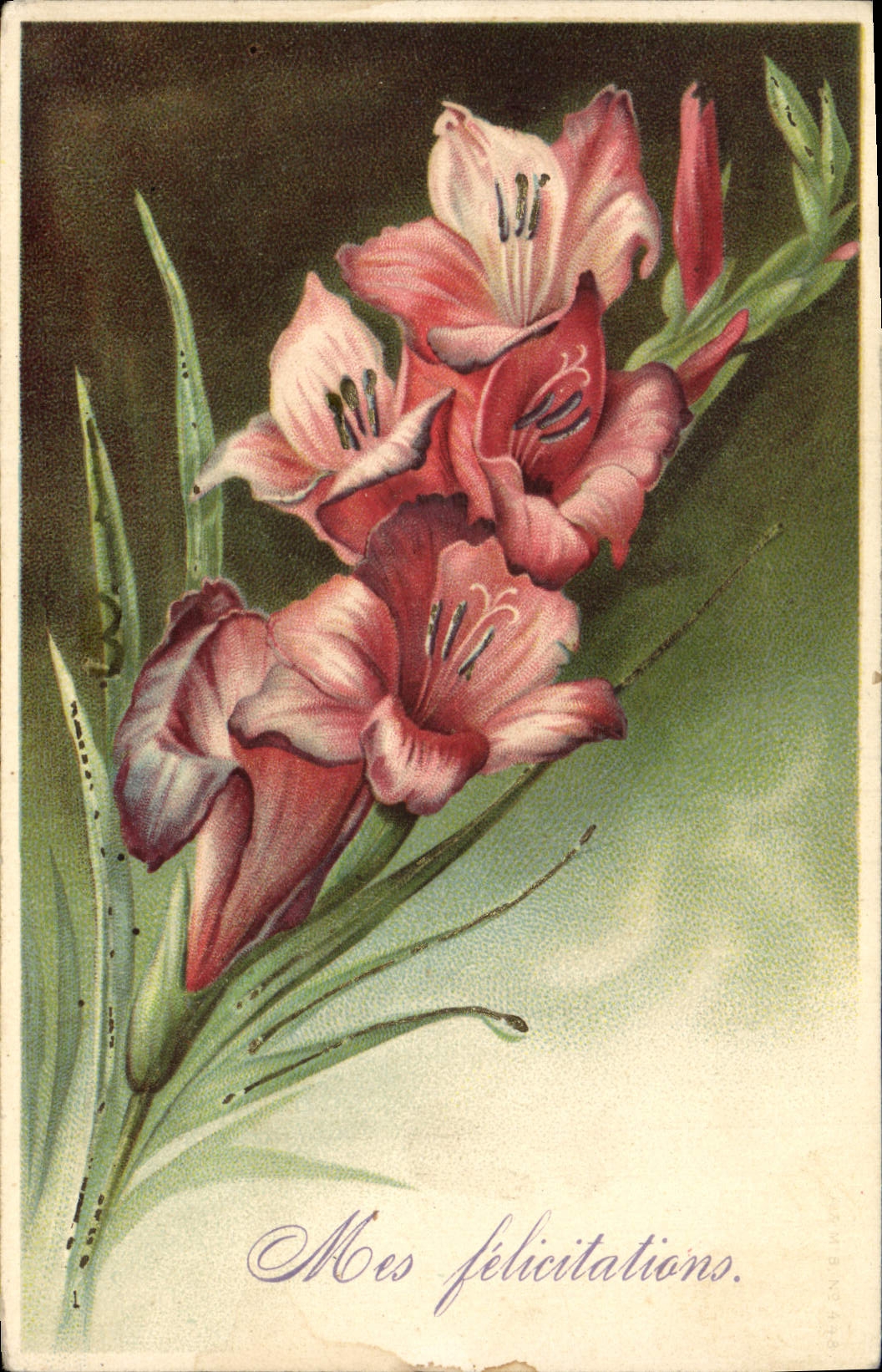 CPA Fantaisie Fleurs 