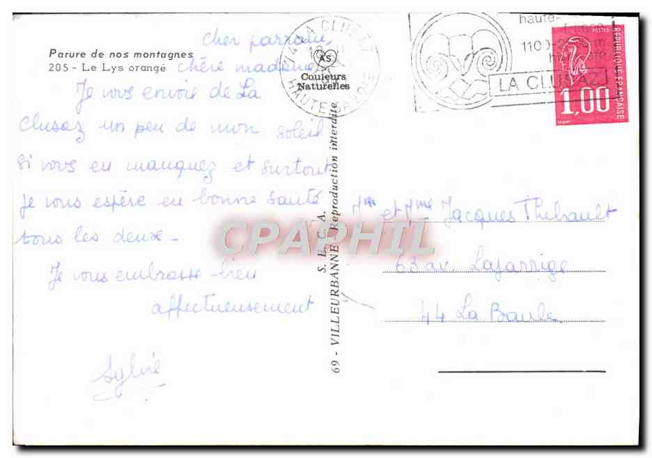 CPM Fantaisie Fleurs Le lys orange — Verso