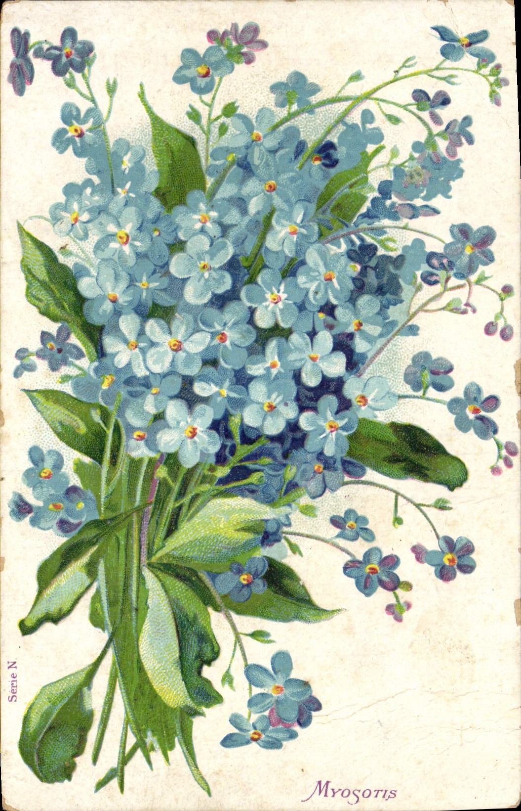 CPA Fantaisie Fleurs Myosotis