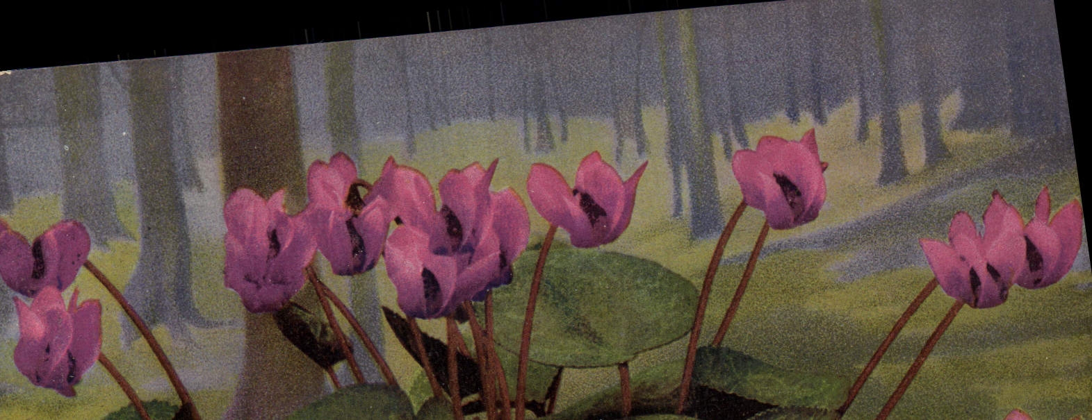CPA Fantaisie Fleurs 