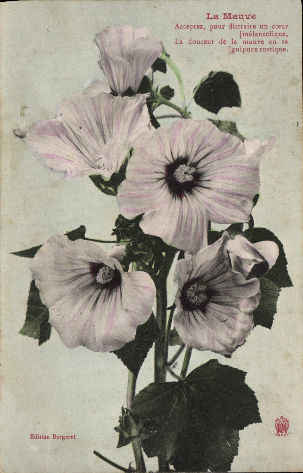 CPA Fantaisie Fleurs La mauve