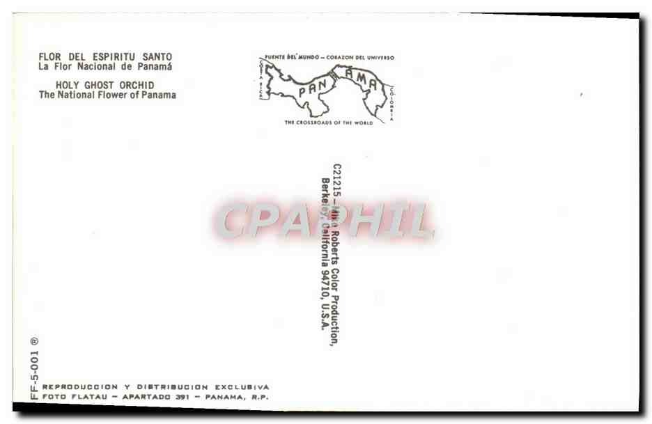 CPA Fantaisie Fleurs  — Verso