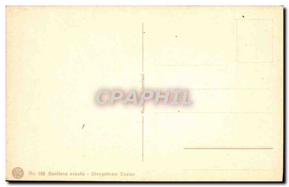 CPA Fantaisie Fleurs  — Verso