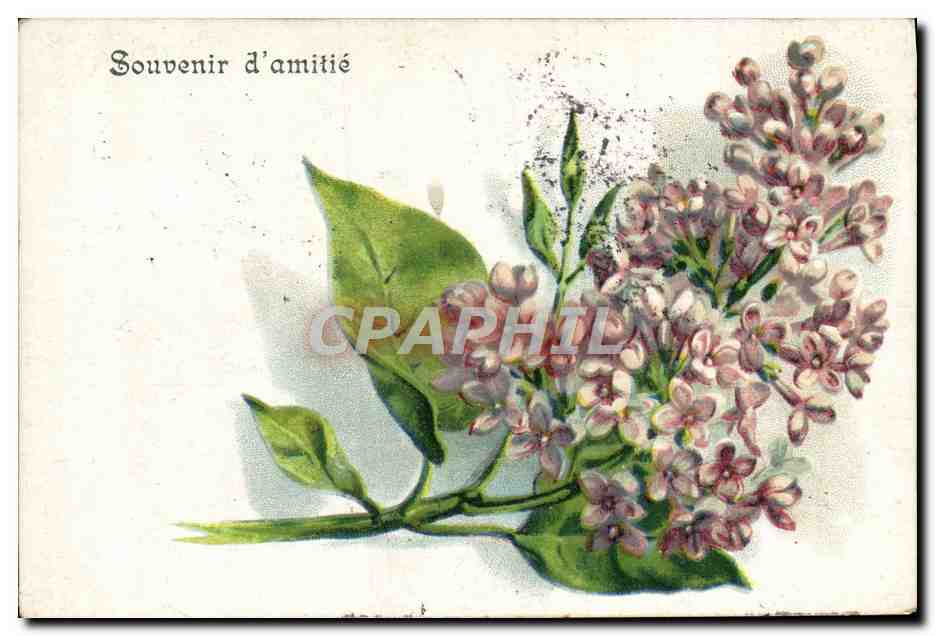 CPA Fantaisie Fleurs 