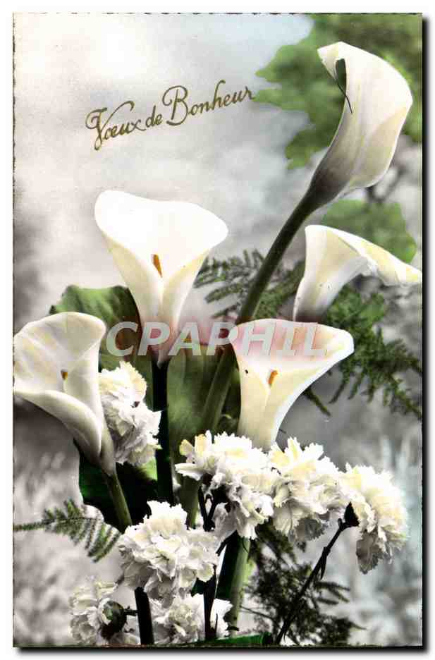 CPA Fantaisie Fleurs 
