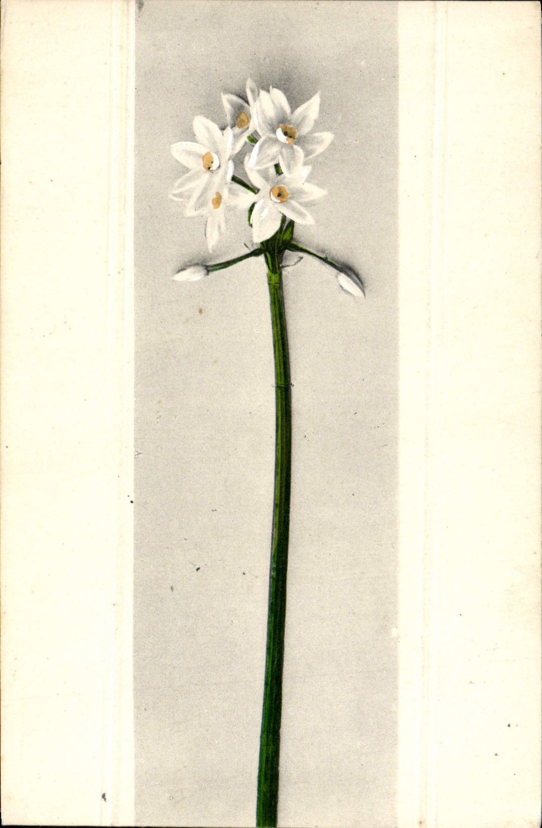 CPA Fantaisie Fleurs 