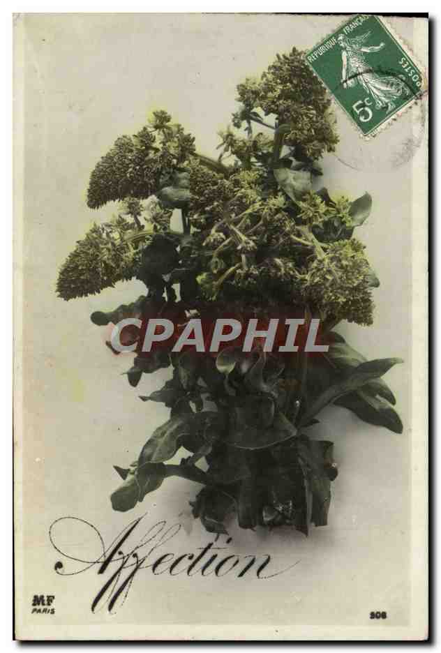 CPA Fantaisie Fleurs 