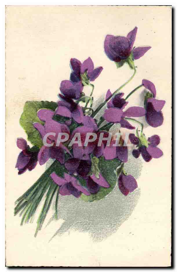 CPA Fantaisie Fleurs 