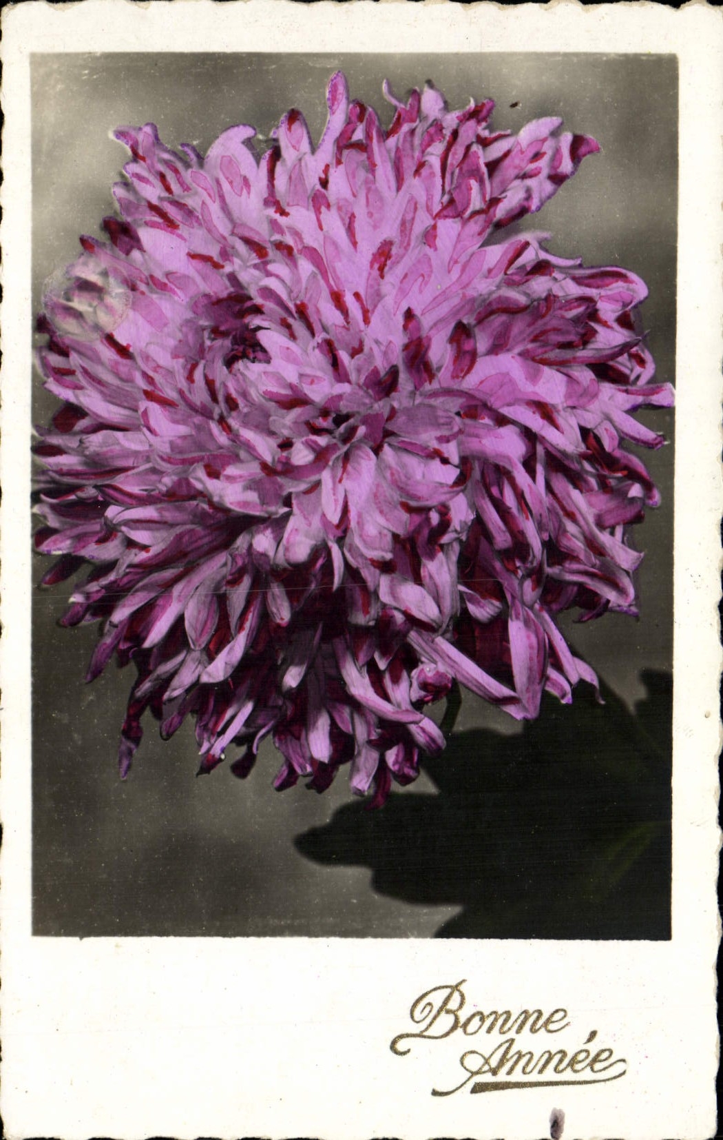 CPA Fantaisie Fleurs 