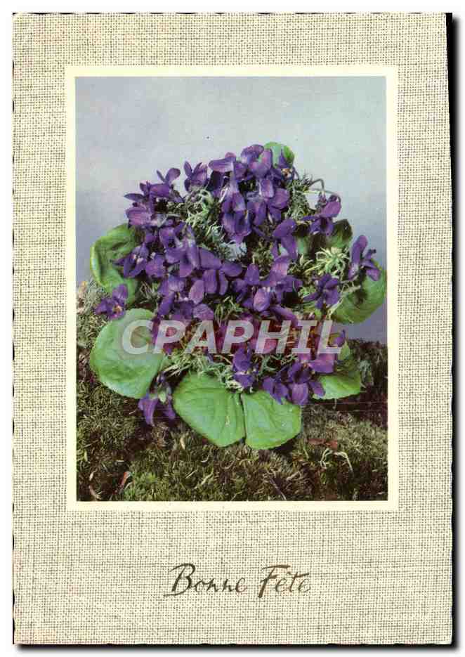 CPM Fantaisie Fleurs 