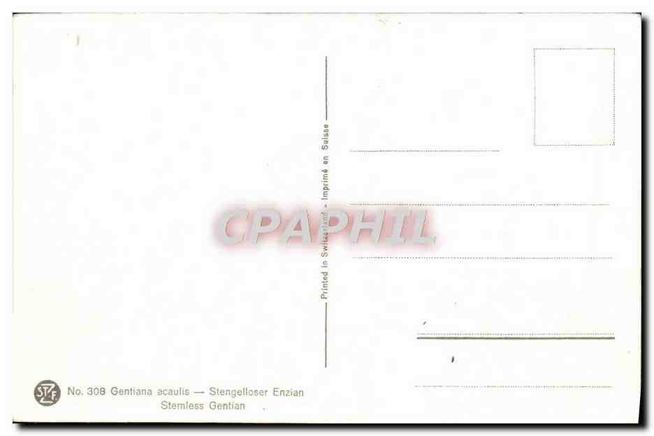 CPA Fantaisie Fleurs  — Verso