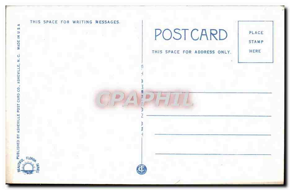 CPA Fantaisie Fleurs Poinsettia Blossom — Verso
