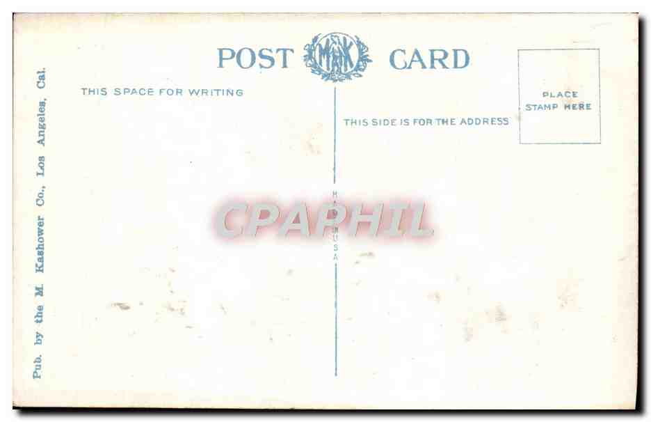 CPA Fantaisie Fleurs Eucalyptus Buds and blossoms California — Verso